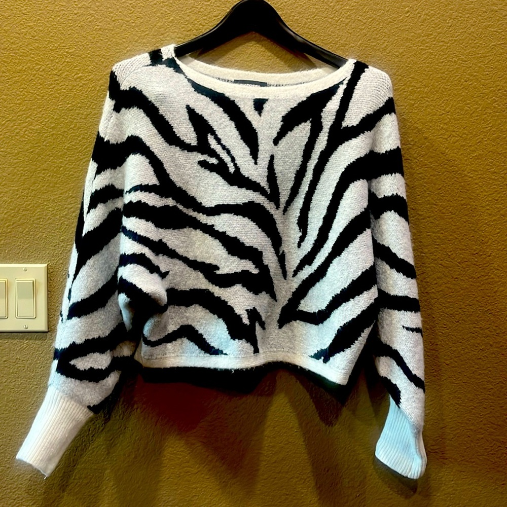 Express xsmall sweater